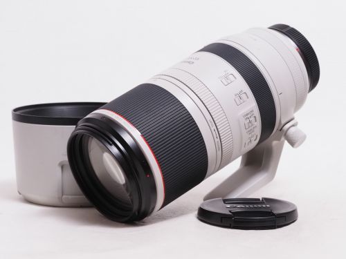 RF 100-500mm F4.5-7.1L IS USM 【中古】(L:580)
