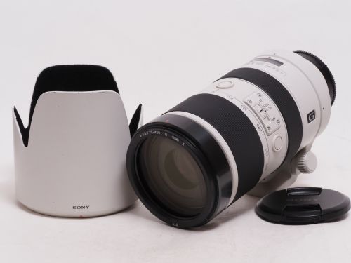 70-400mm F4-5.6 G SSM II 【中古】(L:763)