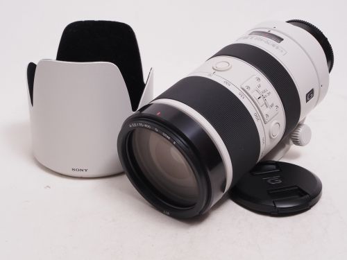 70-400mm F4-5.6 G SSM II 【中古】(L:832)