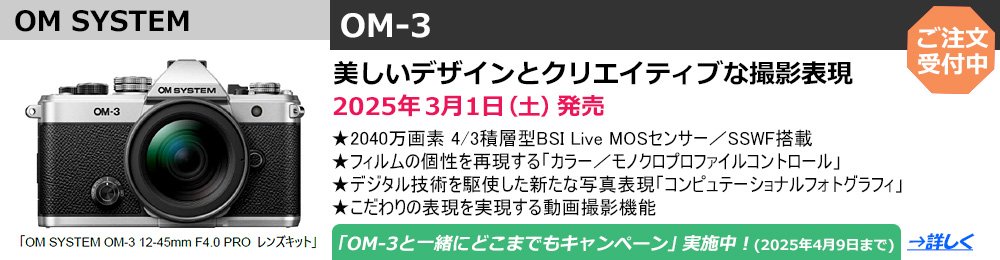 LUMIX GF10期間限定〜1/12まで