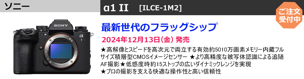 kela(ケラ) シャワーラック 2段 壁掛け収納 18/10ステンレス 20094 浴室、浴槽、洗面所