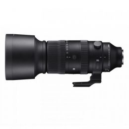 シグマ S 60-600/4.5-6.3 DG DN OS ソニーE用【下取優待引あり】