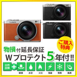 パナソニック DC-S9N 広角ズームレンズキット【延長保証付】