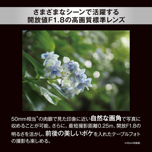 荻窪カメラのさくらや / OM SYSTEM M.ZUIKO DIGITAL 25mmF1.8 II 荻窪カメラのさくらや / OM SYSTEM M.ZUIKO DIGITAL 25mmF1.8 II