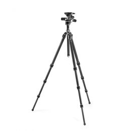 GITZOマウンテニア三脚GT2542+雲台GHF3Wキット[GK2542-F3W]