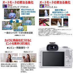 荻窪カメラのさくらや / キヤノン EOS R50・RF-S18-45 IS STM