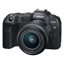 キヤノン　EOS R8・RF24-50 IS STM レンズキット [4月下旬発売]【ご予約】