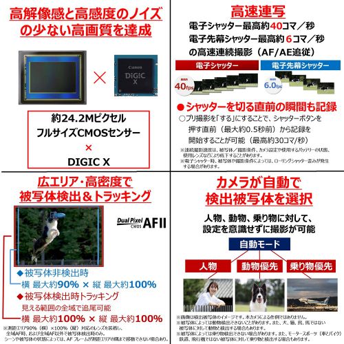 荻窪カメラのさくらや / キヤノン EOS R8・RF24-50 IS STM 荻窪カメラのさくらや / キヤノン EOS R8・RF24-50 IS STM