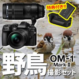 OM SYSTEM OM-1 II超望遠キット+12-40II野鳥セット【特典付】