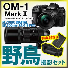 OM SYSTEM OM-1 II 1240Kit野鳥セット /ED300mmF4PRO【特典付】
