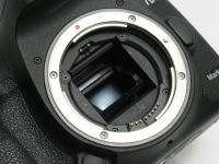 キヤノン EOS 7D MarkII ボディ 【中古】(B:838)