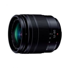 パナソニックLUMIX G V12-60/3.5-5.6POWER O.I.S.【限定特価】