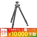 GITZO システマティックGT4543LS+雲台GH4383LRキット★下取CP延長中！