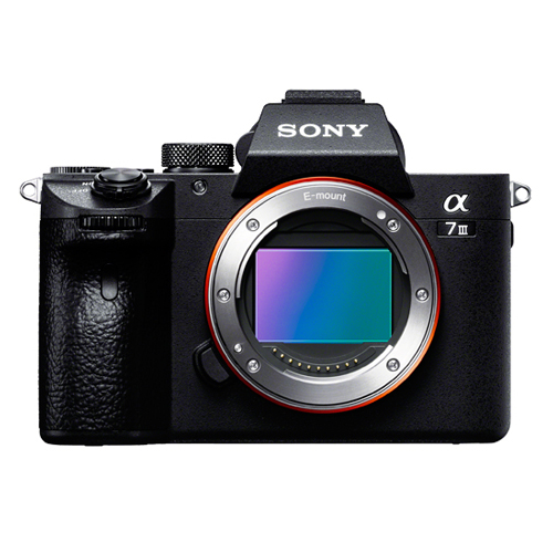 荻窪カメラのさくらや / ソニー α7 III ボディ[ILCE-7M3]【さらに下取 