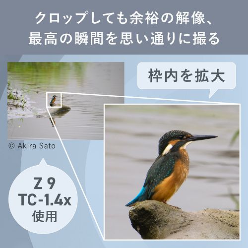 荻窪カメラのさくらや / ニコン NIKKOR Z 600mm f/6.3 VR S【～4/20