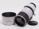 キヤノン RF100-500mm F4.5-7.1 L IS USM 【中古】(L:871）