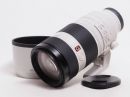 ソニー FE 100-400mm F4.5-5.6 GM OSS 【中古】(L:218)