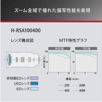 パナソニックLEICA DG V-E100-400/4-6.3 II [H-RSA100400]