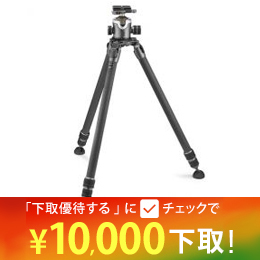 GITZOシステマティックGT3533LS+雲台GH4383LRキット★下取CP延長中！