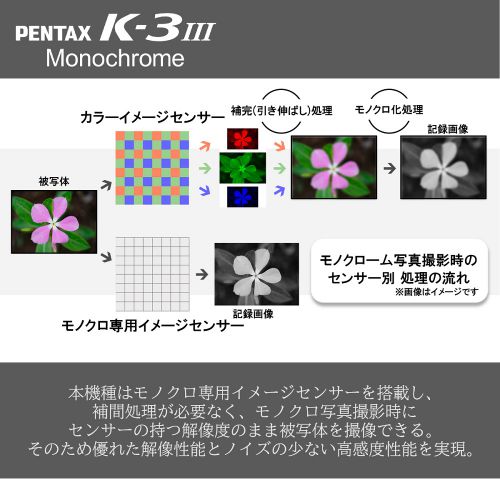 mako01 ページ 眼科検査ガイド 第3版 眼科検査ガイド 第3版 公式ショップ】 Amazon.co.jp: 産業・研究