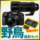 OM SYSTEM OM-1 II 1240Kit野鳥セット /ED300mmF4PRO 【特典付】