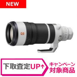 ソニー FE 100-400mm F4.5 GM OSS [6/5発売]【ご予約】【下取増額CP】