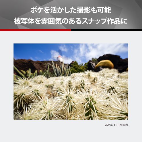 荻窪カメラのさくらや / パナソニック LUMIX S 26mm F8 [S-R26 荻窪カメラのさくらや / パナソニック LUMIX S 26mm F8 [S-R26