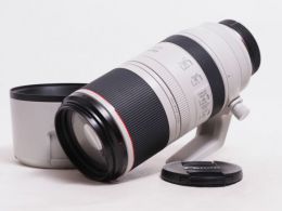 キヤノン RF 100-500mm F4.5-7.1L IS USM 【中古】(L:580)