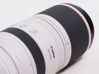 キヤノン RF 100-500mm F4.5-7.1L IS USM 【中古】(L:580)