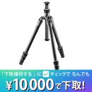 GITZOトラベラー三脚 [0型4段] GT0545T (脚のみ)【セール特価&下取優待引あり】★