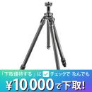 GITZO マウンテニア三脚 [2型3段] GT2532【セール特価&下取優待引あり】