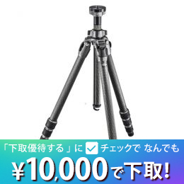 GITZO マウンテニア三脚 [2型4段] GT2542【セール特価&下取優待引あり】
