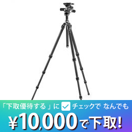 GITZOマウンテニア三脚GT2542+雲台GHF3Wキット【セール特価&下取優待引あり】
