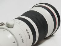 キヤノン RF 100-300mm F2.8L IS USM 【中古】(L:137)