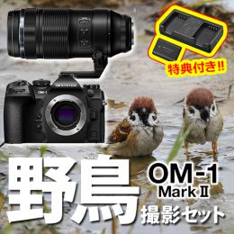 OM SYSTEM OM-1MarkII 野鳥セット /ED100-400mmIS II【特典付】★