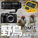 OM SYSTEM OM-1MarkII 野鳥セット /ED100-400mmIS II【特典付】★