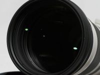 キヤノン RF 100-300mm F2.8L IS USM 【中古】(L:110)