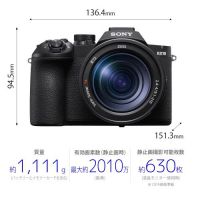 ソニー RX10V（DSC-RX10M5）[7/31発売]【ご予約】