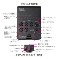 LightPix Labs(ライトピックスラボ) FlashQ Q20II 小型フラッシュ