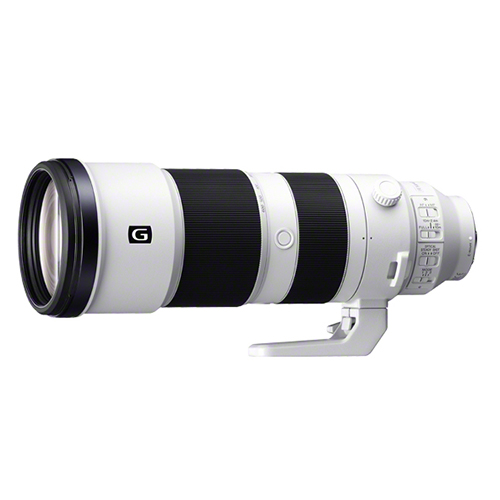 荻窪カメラのさくらや / ソニーFE200-600mmF5.6-6.3G OSS 荻窪カメラのさくらや / ソニーFE200-600mmF5.6-6.3G OSS