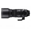 シグマ S 150-600/5-6.3 DG DN OS Lマウント用【下取優待引あり】