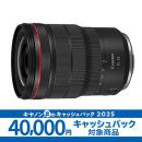 キヤノン RF15-35mm F2.8 L IS USM ★キャッシュバックキャンペーン★