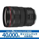 キヤノン RF24-70mm F2.8 L IS USM ★キャッシュバックキャンペーン★