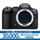 キヤノン EOS R6 Mark II ボディ【値下げしました】★キャンペーン★