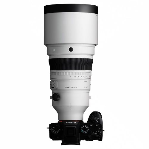 荻窪カメラのさくらや / シグマ Sports 200mm F2 DG OS ソニーE
