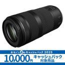 キヤノン RF100-400mm F5.6-8 IS USM ★キャッシュバックキャンペーン★