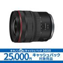 キヤノン RF14-35mm F4 L IS USM ★キャッシュバックキャンペーン★