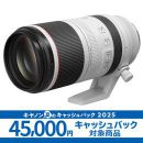 キヤノンRF100-500mm F4.5-7.1 L IS USM ★キャッシュバックキャンペーン★