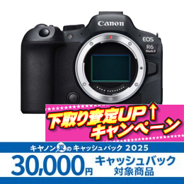 キヤノン EOS R6 Mark II ボディ【値下げしました】★キャッシュバック&下取CP★