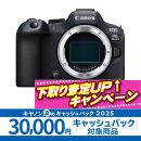 キヤノン EOS R6 Mark II ボディ【値下げしました】★キャッシュバック&下取CP★
